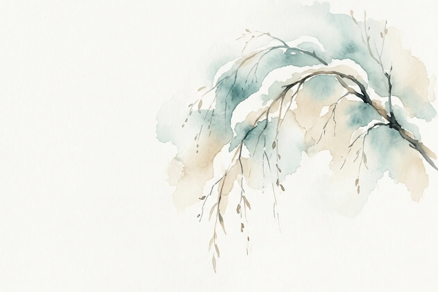 Softness: Strength Without Strain